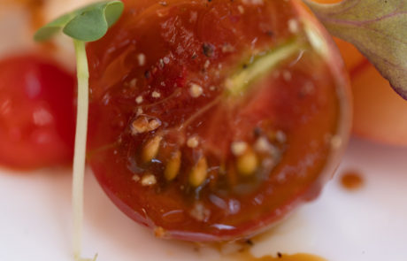 Tomato Salad Bite, July 2020