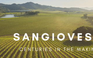 Sangiovese From The Antinori Family