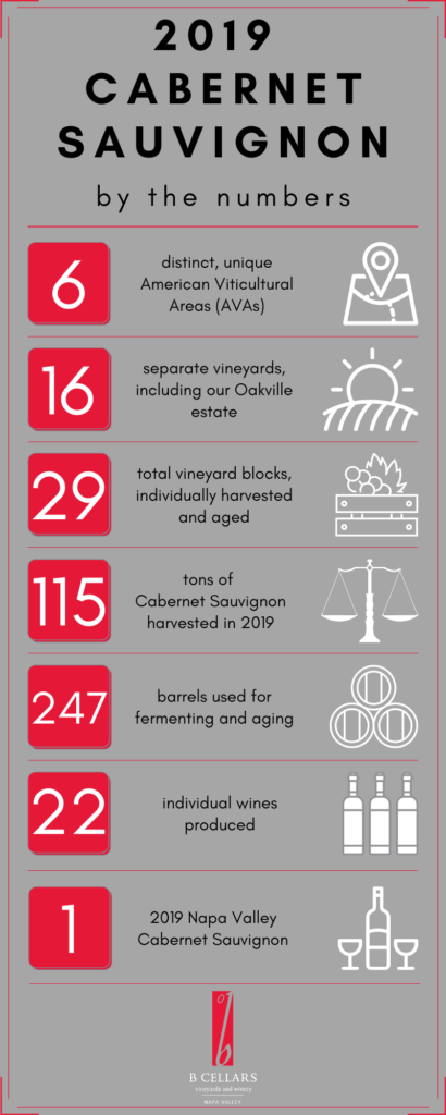 2019 Cabernet Sauvignon By the Numbers