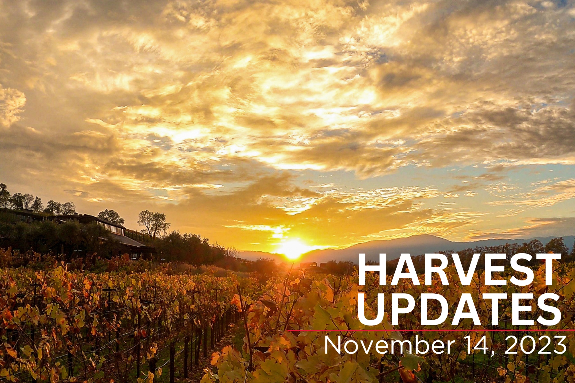 Harvest Update Nov 12