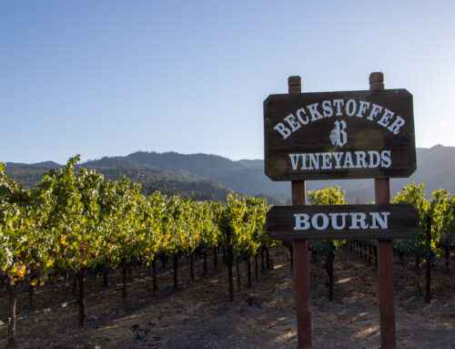 Beckstoffer Bourn Vineyard Petite Sirah