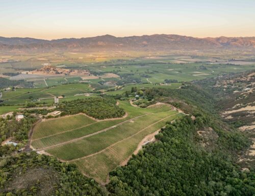 2023 Oakville Ranch Cabernet Sauvignon