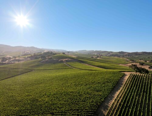 2023 Sugarloaf Vineyard Merlot