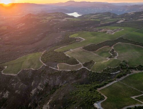 2024 Stagecoach Vineyard Sangiovese