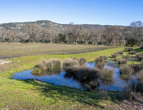 Winery Happenings, January 2026