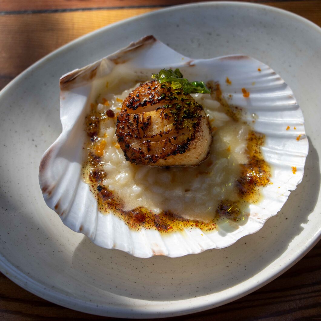 Seared Scallops with Risotto