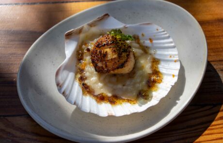 Scallop