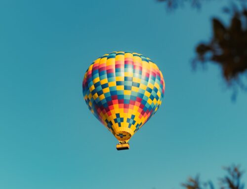 Winery Happenings, May 2026