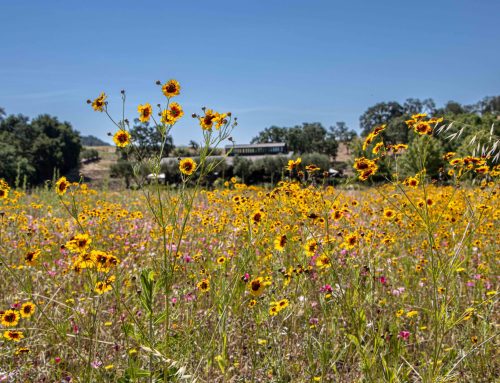 Winery Happenings, June 2026