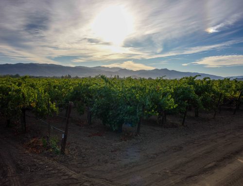 2024 Morisoli Vineyard Cabernet Sauvignon